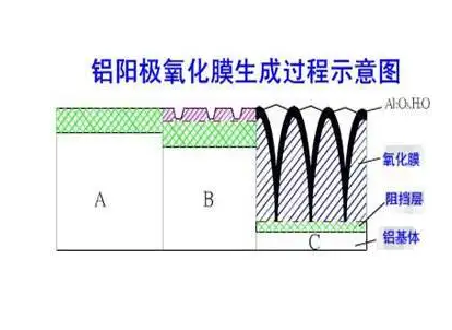 菠萝视频网站硬質陽極氧化膜生成過程
